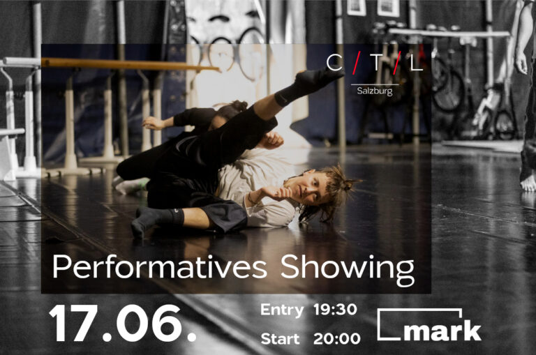 Read more about the article Performatives Showing Circus/Tanz/Labor